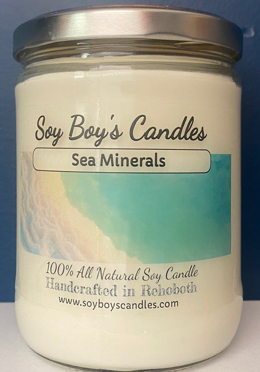 16 ounce Sea Minerals Soy Candle